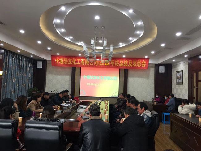 香蕉视频在线免费看化工召开年终总结及表彰大会